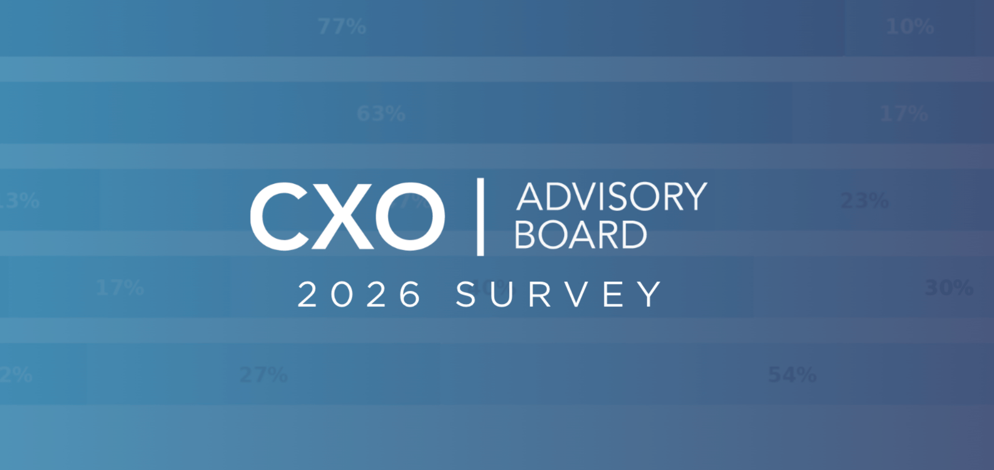 CXO Survey