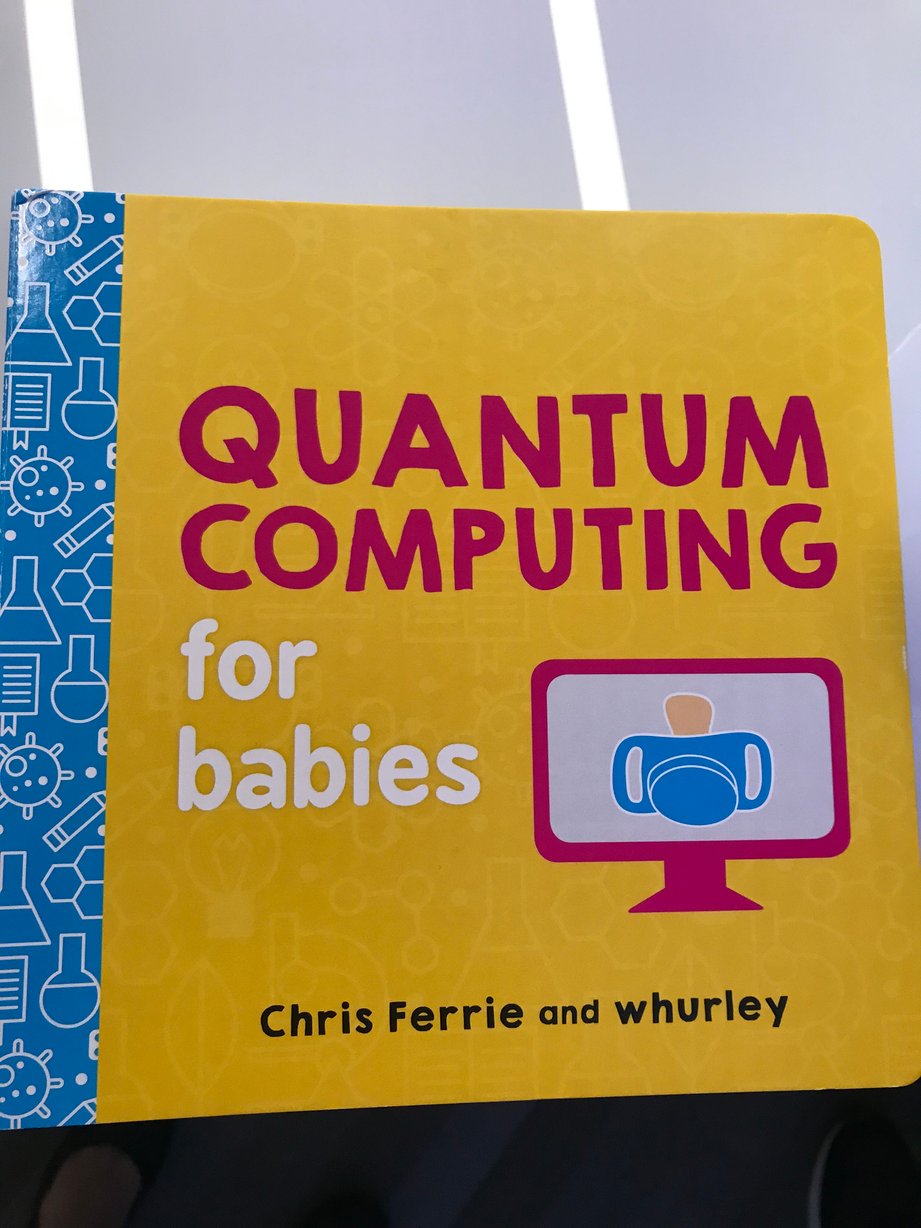 Quantum Computing for babies book