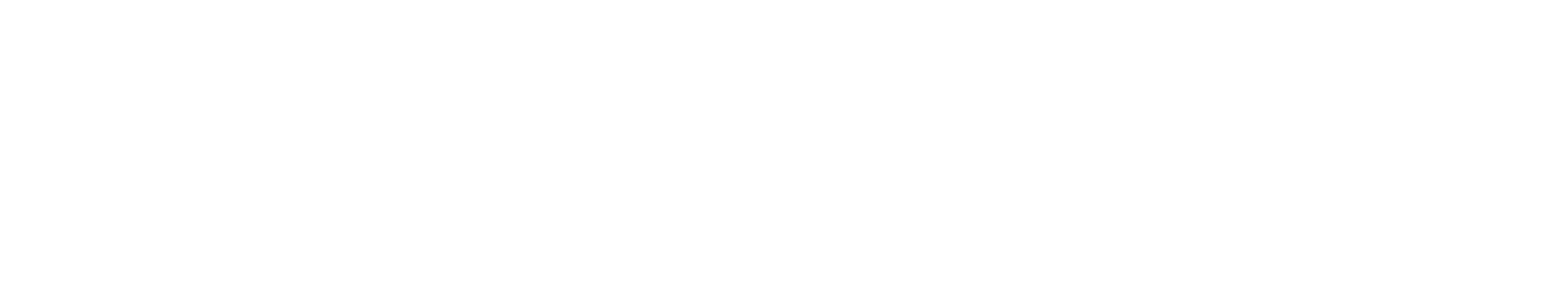 panw-parent-brand-primary-logo-KO